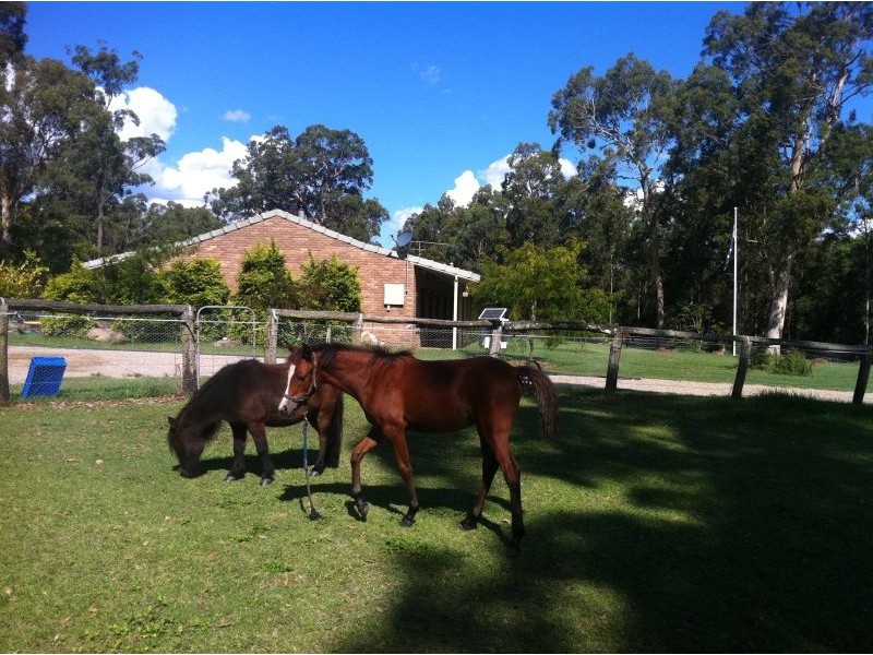 Mandalong NSW 2264