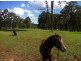 Mandalong NSW 2264