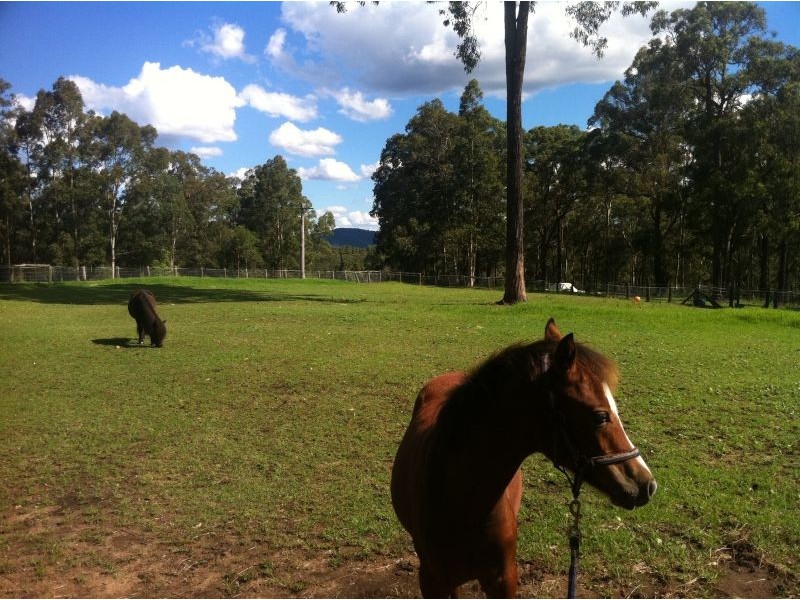 Mandalong NSW 2264