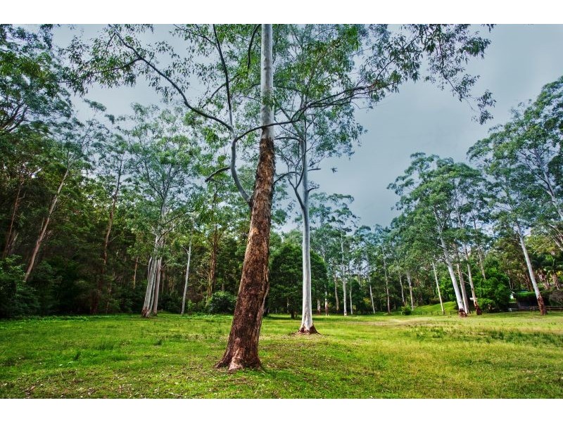 Cooranbong NSW 2265