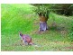 Cooranbong NSW 2265
