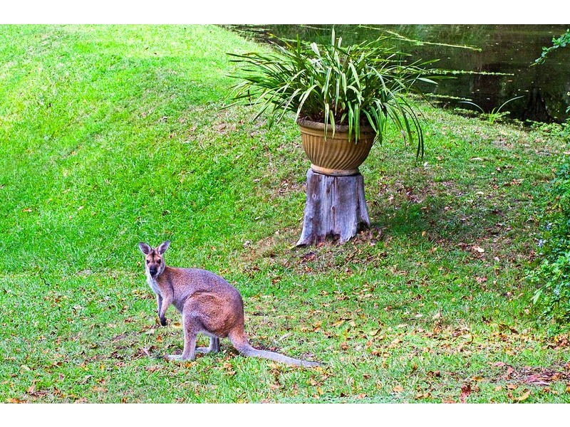 Cooranbong NSW 2265