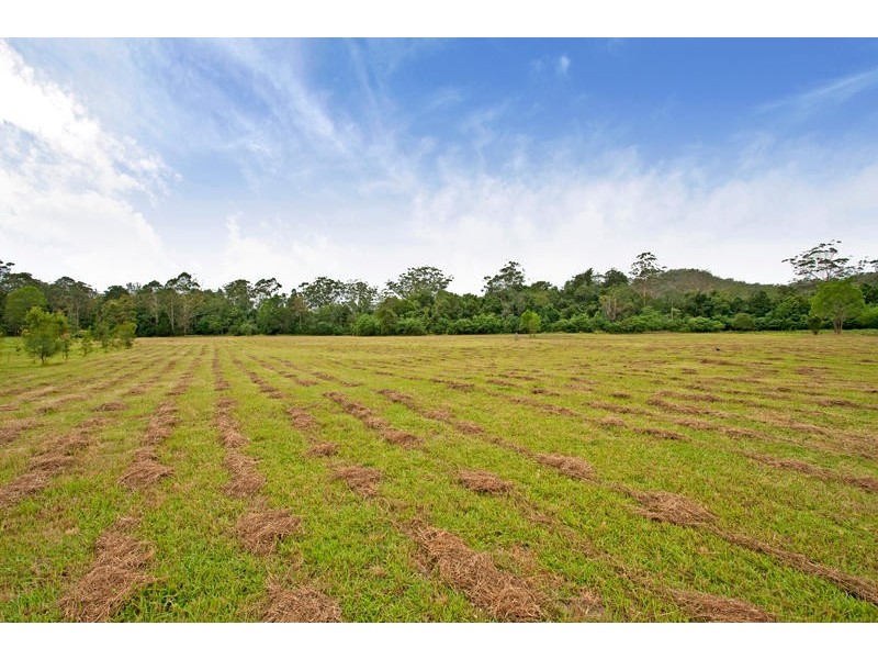 1313 Dooralong Road., Dooralong NSW 2259