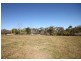 Central Mangrove NSW 2250