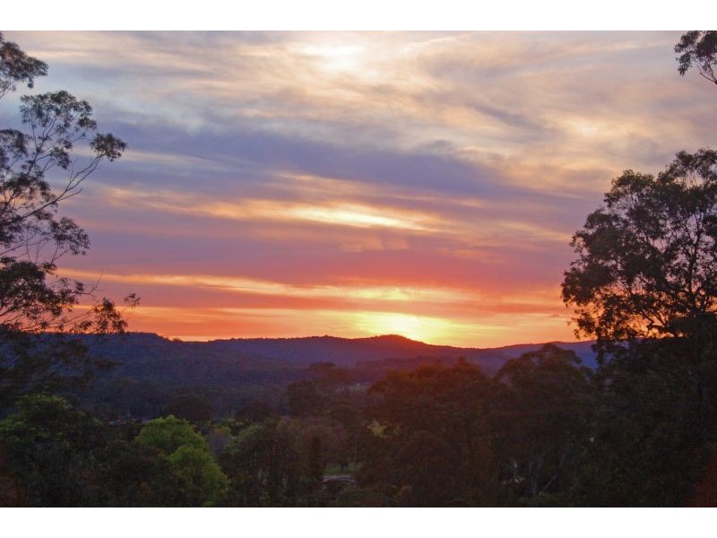 Wyong Creek NSW 2259