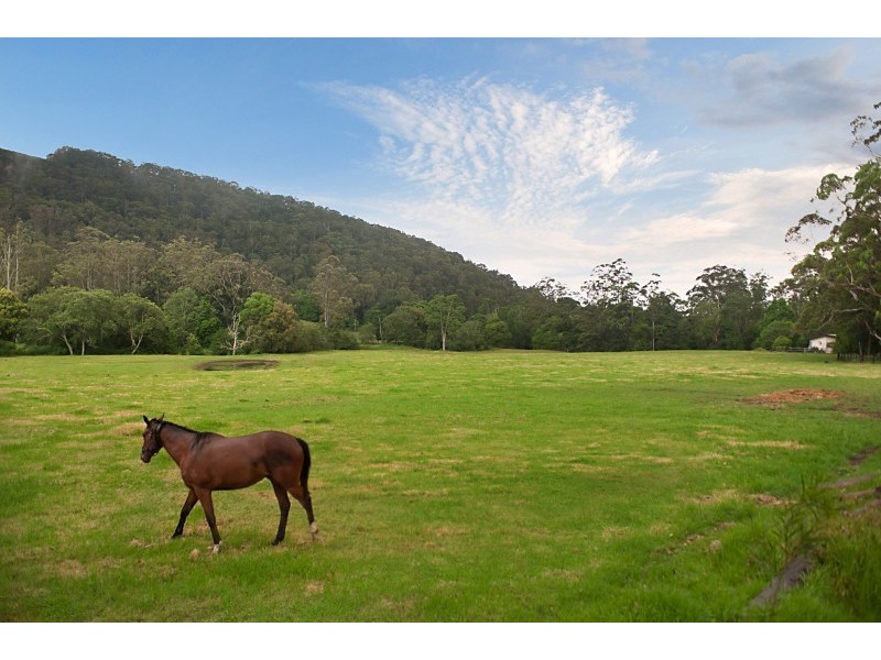 Jilliby NSW 2259