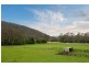 Jilliby NSW 2259