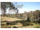 Wadalba NSW 2259