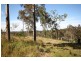 Wadalba NSW 2259
