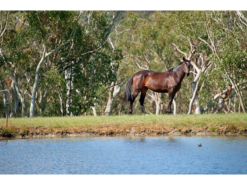 Mount White NSW 2250