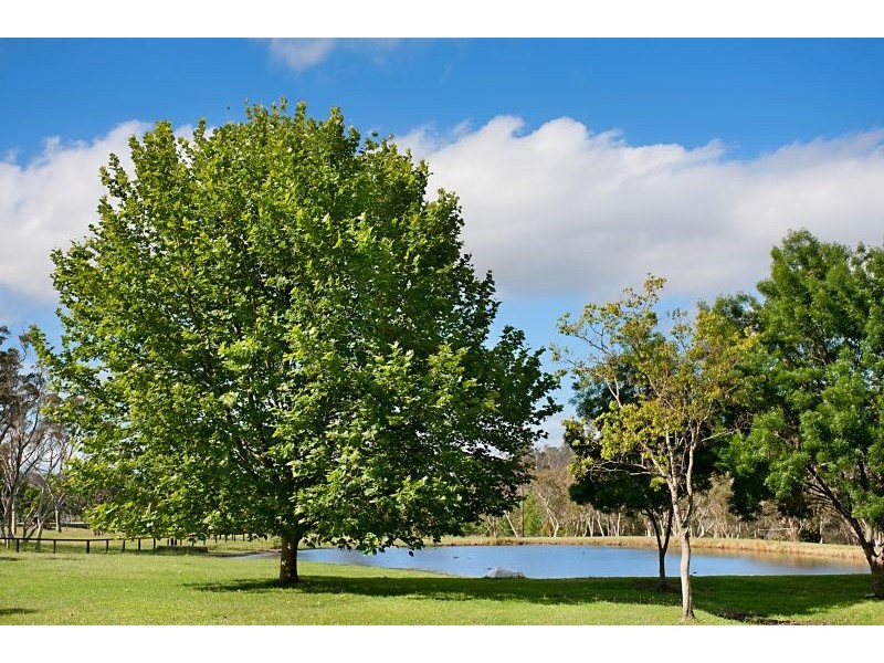 Mount White NSW 2250