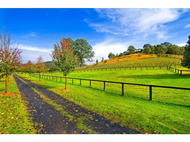 Yarramalong NSW 2259