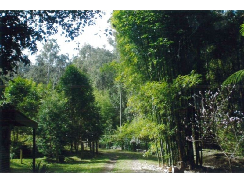 1804 Dooralong Road, Dooralong NSW 2259