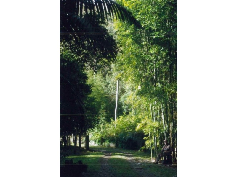 1804 Dooralong Road, Dooralong NSW 2259