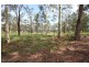 Ellalong NSW 2325