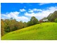 Wyong Creek NSW 2259