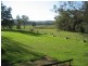 Dooralong NSW 2259