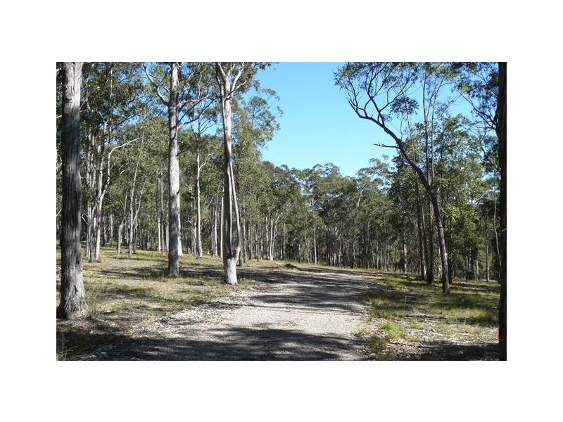 Lot 4 Dickson Road, Dooralong NSW 2259