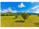 Yarramalong NSW 2259