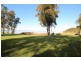 Tuggerawong NSW 2259