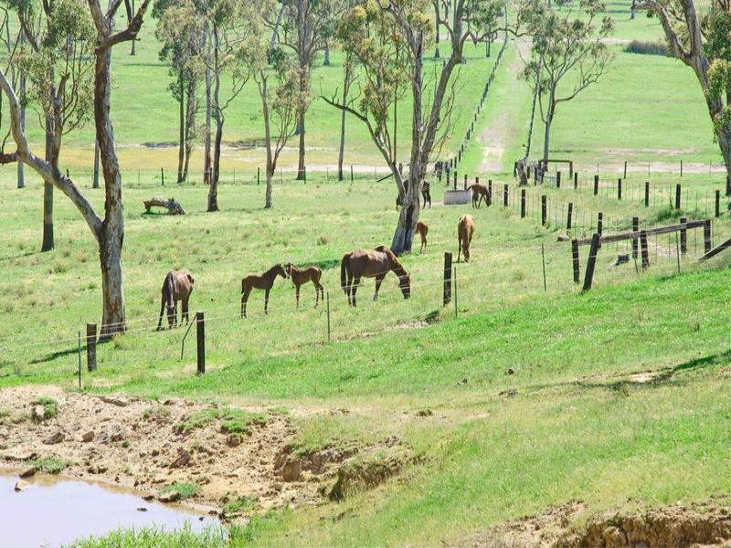 Mandalong NSW 2264