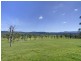 Mandalong NSW 2264