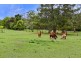 Yarramalong NSW 2259
