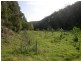 Yarramalong NSW 2259