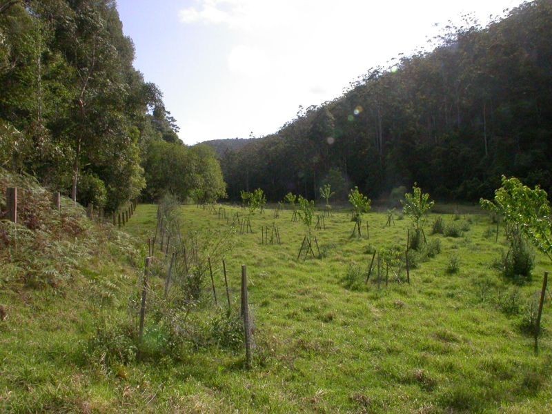 Yarramalong NSW 2259