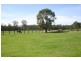 200 Yarramalong Road., Wyong Creek NSW 2259
