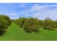 Central Mangrove NSW 2250