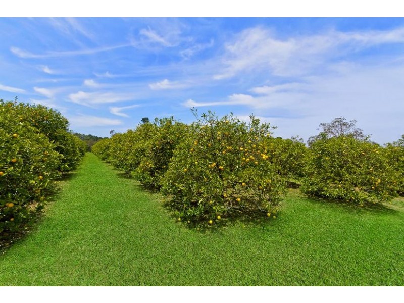 Central Mangrove NSW 2250