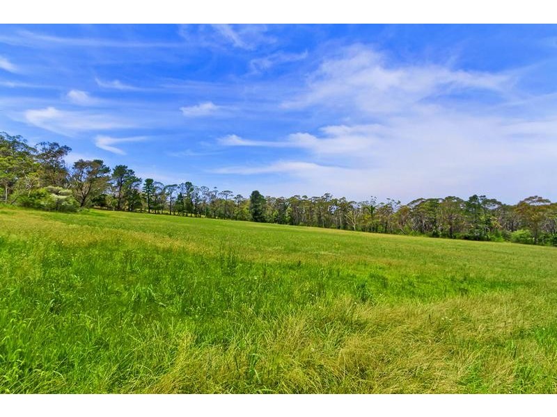 Central Mangrove NSW 2250