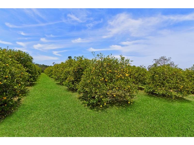 Central Mangrove NSW 2250