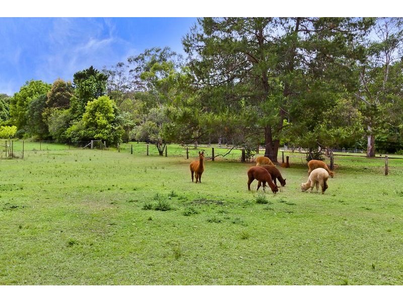Yarramalong NSW 2259