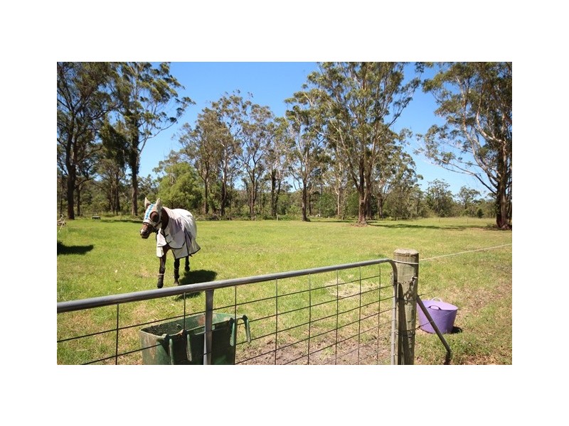 Kangy Angy NSW 2258