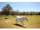 Kangy Angy NSW 2258