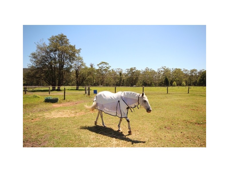 Kangy Angy NSW 2258