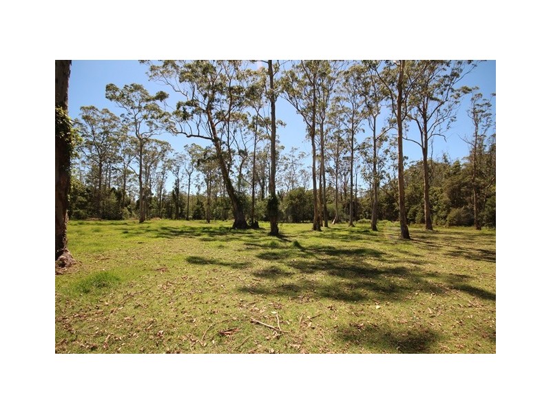 Kangy Angy NSW 2258