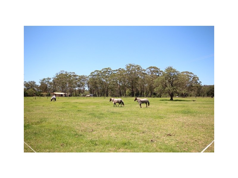 Kangy Angy NSW 2258