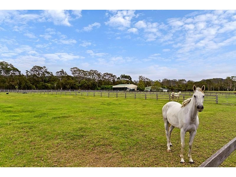 Jilliby NSW 2259