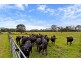 Jilliby NSW 2259