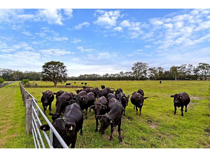 Jilliby NSW 2259