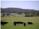 Congewai NSW 2325