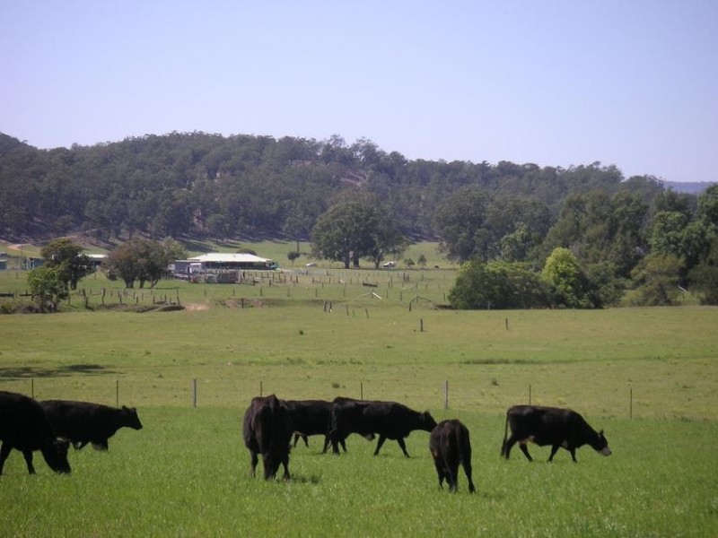 Congewai NSW 2325