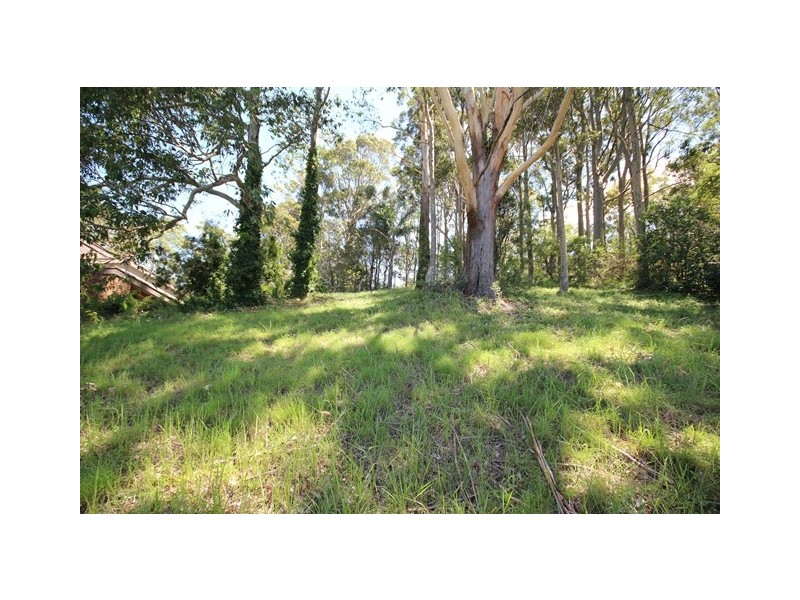 Wyong NSW 2259