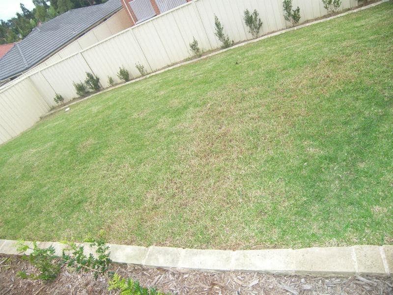 Hamlyn Terrace NSW 2259