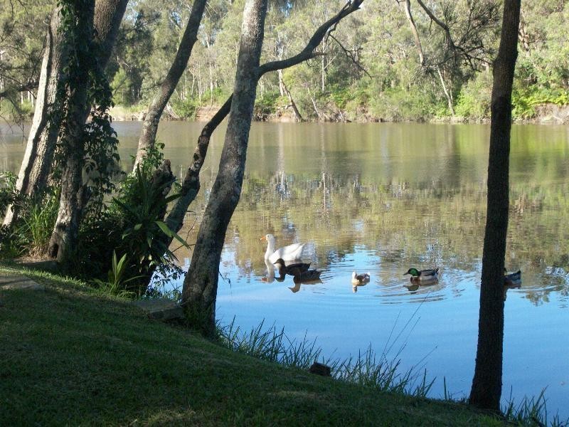 Wyong NSW 2259