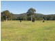 742 Smiths Road, Jilliby NSW 2259