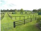 559 Dunks Lane, Jilliby NSW 2259
